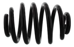 2x Fahrwerksfeder Hinterachse für BMW 3 Touring