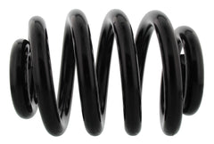 2x Fahrwerksfeder Hinterachse verstärkt für VW MULTIVAN T5 TRANSPORTER Kasten