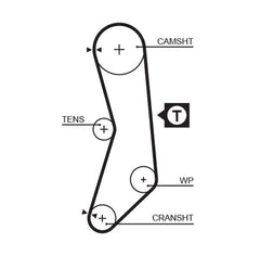 Zahnriemensatz für FIAT CINQUECENTO SEICENTO / 600