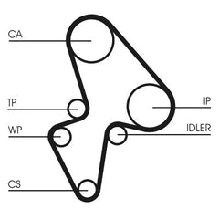 Zahnriemen für CITROËN NISSAN PEUGEOT AX SAXO XSARA Break Hatchback van