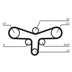 Zahnriemen für AUDI SKODA VW A4 B5 Avant B6 Cabriolet A6 C4 C5 A8 D2 D3 ALLROAD