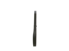 Keilrippenriemen für AUDI BMW CITROËN HONDA PEUGEOT PORSCHE SEAT SKODA VW A1