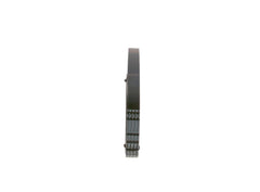 Keilrippenriemen für BMW DAIHATSU FIAT FORD MITSUBISHI NISSAN PEUGEOT RENAULT