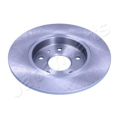 2x Bremsscheibe Hinterachse für EVO 3