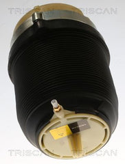 Luftfeder Fahrwerk Hinterachse für AUDI A6 Allroad C6