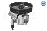 Hydraulikpumpe Lenkung für DACIA DUSTER Kasten/SUV
