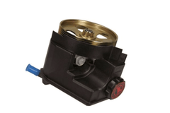 Hydraulikpumpe Lenkung für CITROËN PEUGEOT XSARA PICASSO 206+ 206 Schrägheck CC