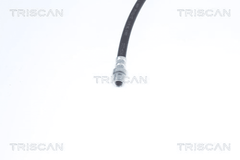 Bremsschlauch Hinterachse links für RENAULT KANGOO THALIA I Rapid