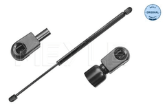 Gasfeder Koffer Laderaum für RENAULT GRAND SCÉNIC II