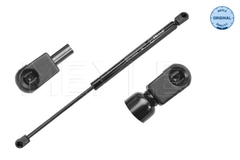 Gasfeder Koffer Laderaum für RENAULT MEGANE II Coupé-Cabriolet Hatchback Van