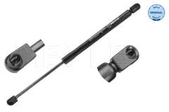 Gasfeder Koffer Laderaum für RENAULT MEGANE III Schrägheck Hatchback Van