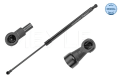 Gasfeder Koffer Laderaum für RENAULT GRAND SCÉNIC III VAN