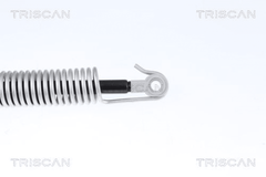 Gasfeder Koffer Laderaum hinten rechts für BMW 5
