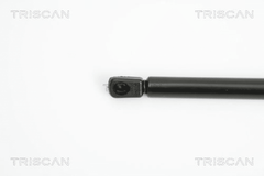 Gasfeder Koffer Laderaum hinten für BMW 3 Touring