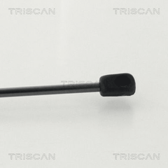 Gasfeder Koffer Laderaum hinten für SKODA FABIA III