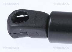 Gasfeder Koffer Laderaum hinten für CUPRA SEAT ATECA