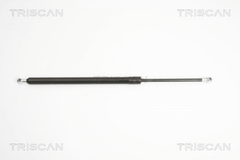 Gasfeder Koffer Laderaum hinten für AUDI TT