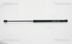 Gasfeder Koffer Laderaum hinten für VW POLO V Van