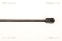 Gasfeder Koffer Laderaum hinten für HYUNDAI i10 I