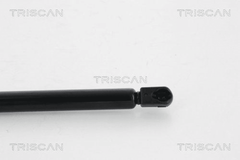 Gasfeder Koffer Laderaum hinten für SEAT IBIZA IV ST