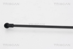 Gasfeder Koffer Laderaum für SEAT IBIZA IV ST