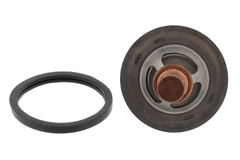 Thermostat Kühlmittel für RENAULT DACIA 19 II Chamade I CLIO RAPID