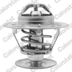 Thermostat Kühlmittel für RENAULT LAGUNA I Grandtour SAFRANE II
