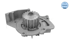 Wasserpumpe Motorkühlung für CITROËN FIAT FORD LANCIA PEUGEOT VOLVO C4 GRAND
