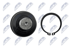 Trag Führungsgelenk Hinterachse für NISSAN PATHFINDER III VAN