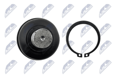 Trag Führungsgelenk Hinterachse für NISSAN PATHFINDER III VAN