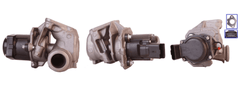 AGR Ventil für CITROËN FIAT FORD MAZDA PEUGEOT SUZUKI VOLVO MINI BERLINGO /