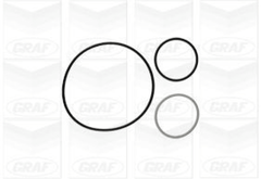 Wasserpumpe Motorkühlung für FIAT IVECO DUCATO Kasten Pritsche/Fahrgestell Bus