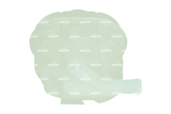 Ausgleichsbehälter Kühlmittel für MG