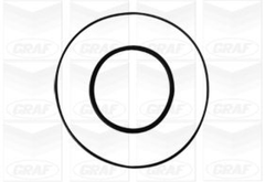 Wasserpumpe Motorkühlung für CHRYSLER LDV LTI VOYAGER IV MAXUS Kasten Bus TX