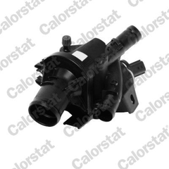 Thermostat Kühlmittel für RENAULT ALASKAN MASTER III Kasten