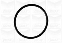 Wasserpumpe Motorkühlung für SEAT SKODA VW CORDOBA IBIZA III FABIA I Stufenheck