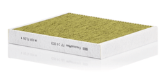 Filter Innenraumluft für OPEL CHEVROLET CADILLAC BYD AMPERA-E ASTRA K Sports