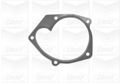 Wasserpumpe Motorkühlung für NISSAN RENAULT SUZUKI DACIA MICRA III NOTE QASHQAI