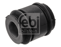 Lagerung Lenker Hinterachse für NISSAN RENAULT DACIA TERRANO DUSTER Kasten/SUV