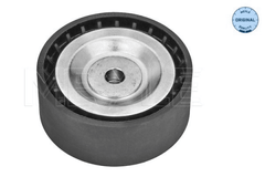 Umlenk Führungsrolle Keilrippenriemen links für CITROËN FIAT FORD JAGUAR