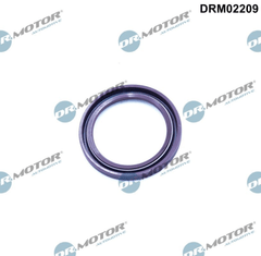 Wellendichtring Kurbelwelle für AUDI PORSCHE VW BENTLEY A3 Sportback A4 Allroad