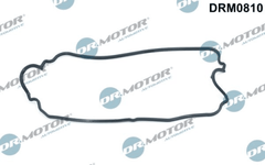 Dichtung Zylinderkopfhaube für NISSAN RENAULT KUBISTAR Kasten CLIO II KANGOO