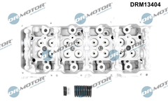 Zylinderkopf für NISSAN CABSTAR ATLEON