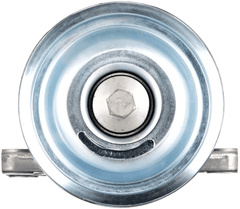 Umlenk Führungsrolle Keilrippenriemen für CITROËN PEUGEOT BERLINGO MULTISPACE