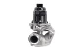 AGR Ventil für CITROËN FIAT FORD MAZDA PEUGEOT SUZUKI VOLVO MINI BERLINGO /