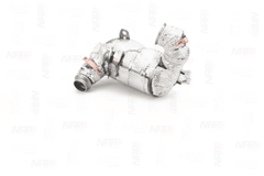 Katalysator für NISSAN RENAULT DACIA MICRA V CAPTUR II CLIO DUSTER LOGAN MCV