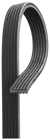 Keilrippenriemen für AUDI FORD SEAT SKODA VW A3 TT Roadster GALAXY I MK VAN