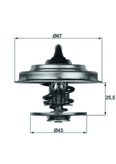 Thermostat Kühlmittel für AUDI MERCEDES-BENZ NEOPLAN RENAULT TRUCKS SETRA A6 C7
