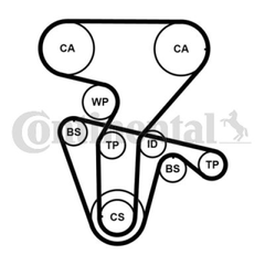 Wasserpumpe + Zahnriemensatz für ALFA ROMEO FIAT LANCIA 145 146 155 156