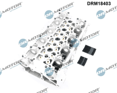 Zylinderkopf für NISSAN OPEL RENAULT INTERSTAR Kasten Bus Pritsche/Fahrgestell